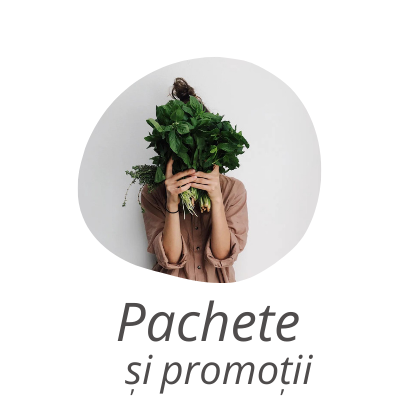 categoria pachete si promotii